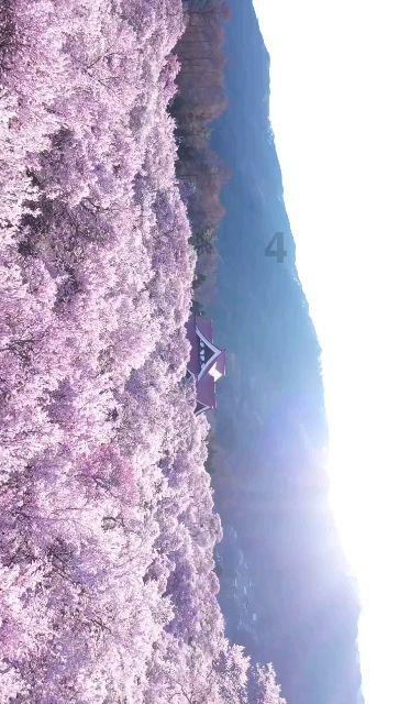 解读《仙剑奇侠传》，九部间人物关系，时间顺序和结局