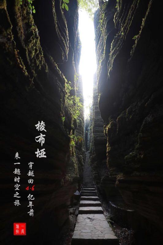 梦想的后院