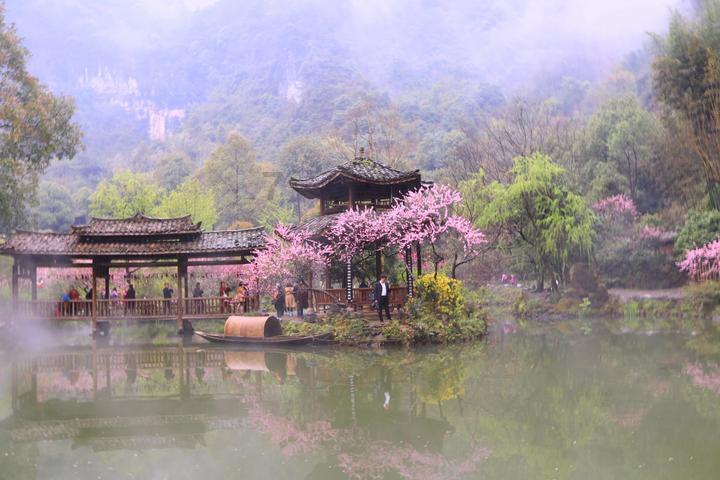 营救森林中的夫妇