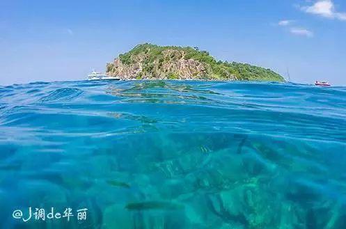 盛亚峰辞别中国太保 现任申能财险法定代表人