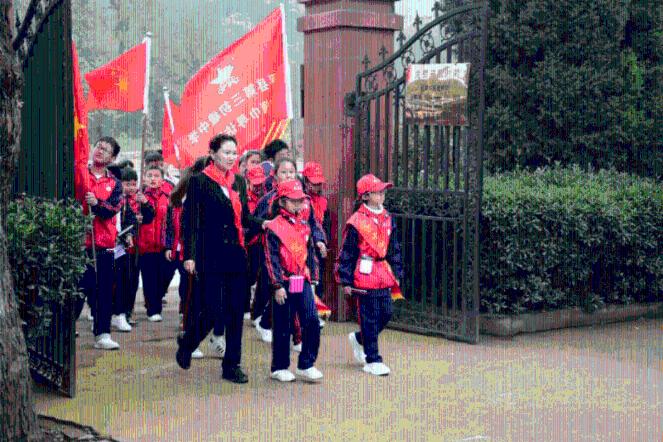 奇妙香蕉之旅