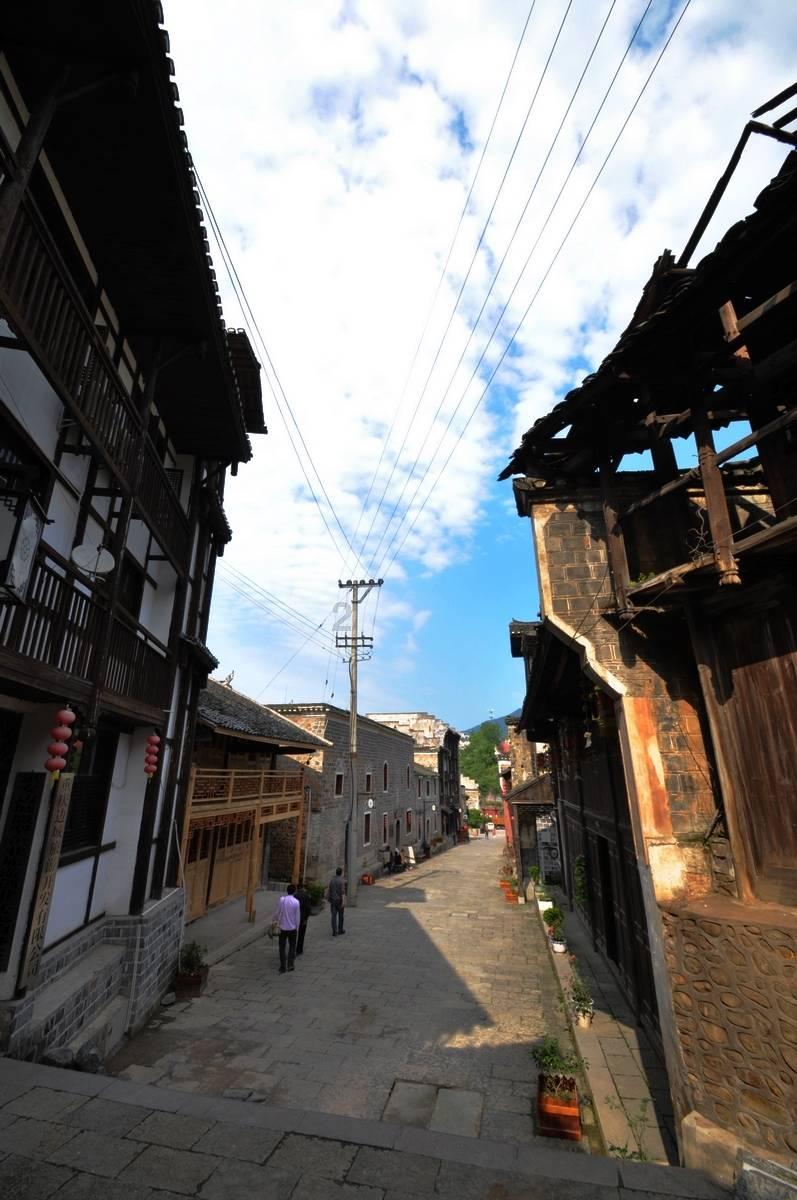 杀出重围人类分裂